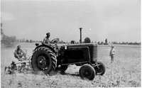 Az Állatforgalmi Vállalat gyöngyöspusztai célgazdaságában Magyar József traktoros és Balatincz János munkagép kezelő a kukorica földön az UTOS-45 típusú román traktorral
