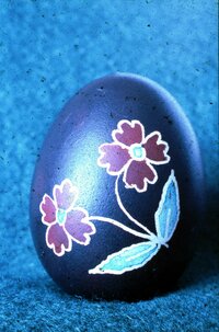 Fekete hímes tojás, (Németh Rozália), Vése
